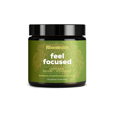 Bloomster Feel focused