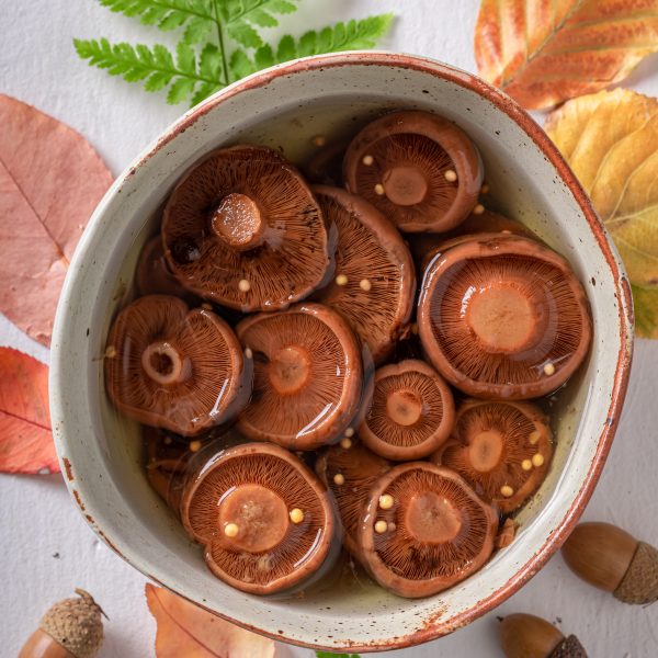 Champignons rouges marinés dans un bol avec décor automnal