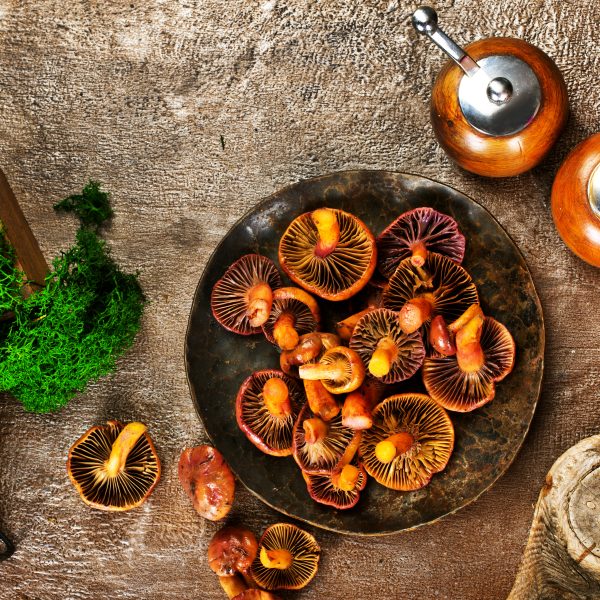 Assiette de champignons sauvages, incluant le Reishi, disposée sur une table rustique avec des épices et de la mousse verte. L'utilisation du Reishi est répandue en médecine traditionnelle et en cuisine pour ses bienfaits sur l'immunité, le sommeil et la gestion du stress.